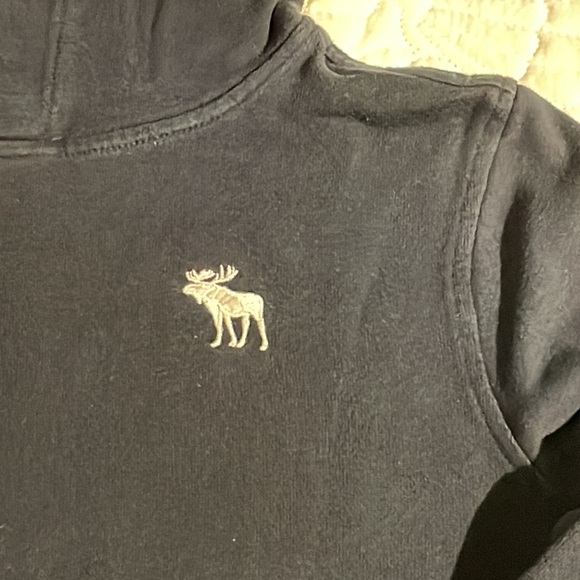 Abercrombie Kids Essential Icon Hoodie - size 13/14 - Picture 3 of 15